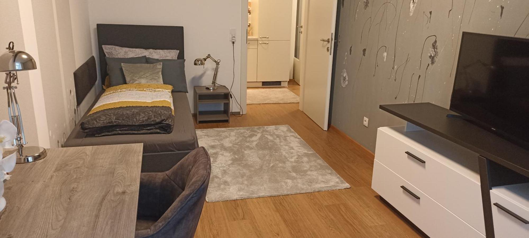 Wohnung In Leoben Zentrum Zwischen Hauptplatz Und Stadtpark Экстерьер фото